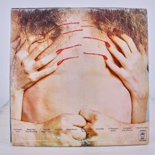 tedmuqent - lp 33 - immagine 2