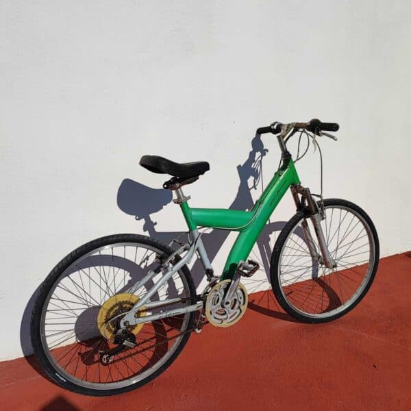 mountain bike pininfarina vintage