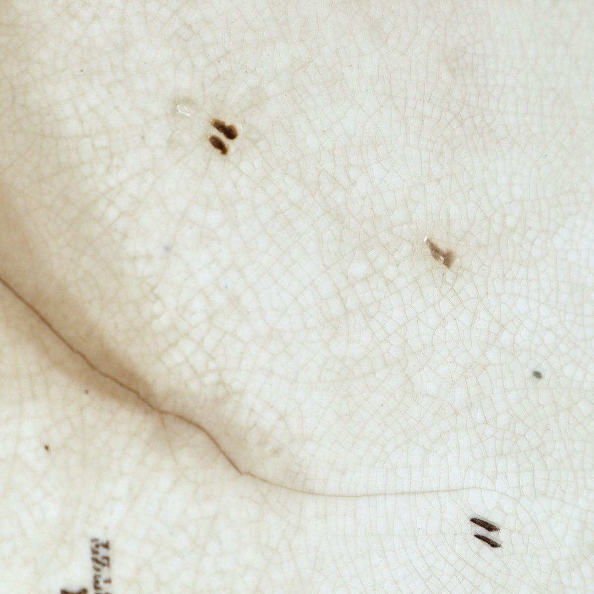 raro piatto decorativo in ceramica willeroy & boch geschutzt, con decoro svastica - immagine 11