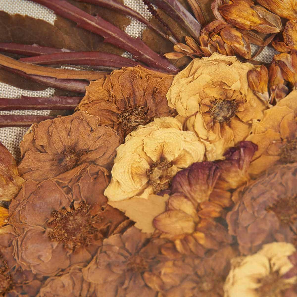 I segreti floreali dell’arte: storia e poesia dei fiori secchi 3 Quadro con fiori secchi vintage, arte floreale italiana anni '70