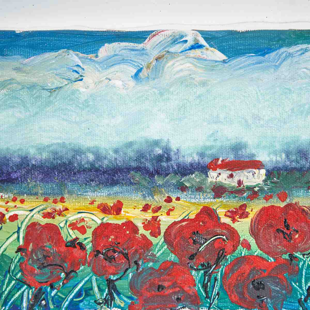 Un campo di papaveri dipinto: colore, gesto e paesaggio domestico 2 Olio su tela con papaveri rossi e cielo azzurro